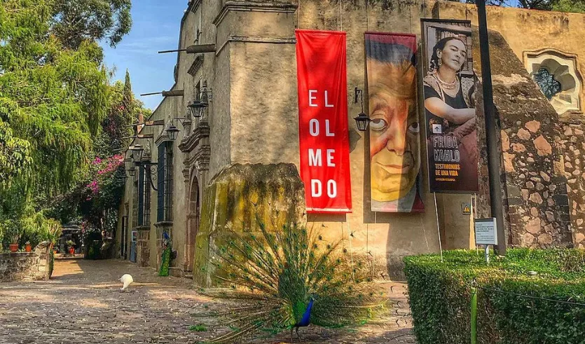 Museo Dolores Olmedo